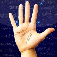 Indian Palmistry Services in Delhi